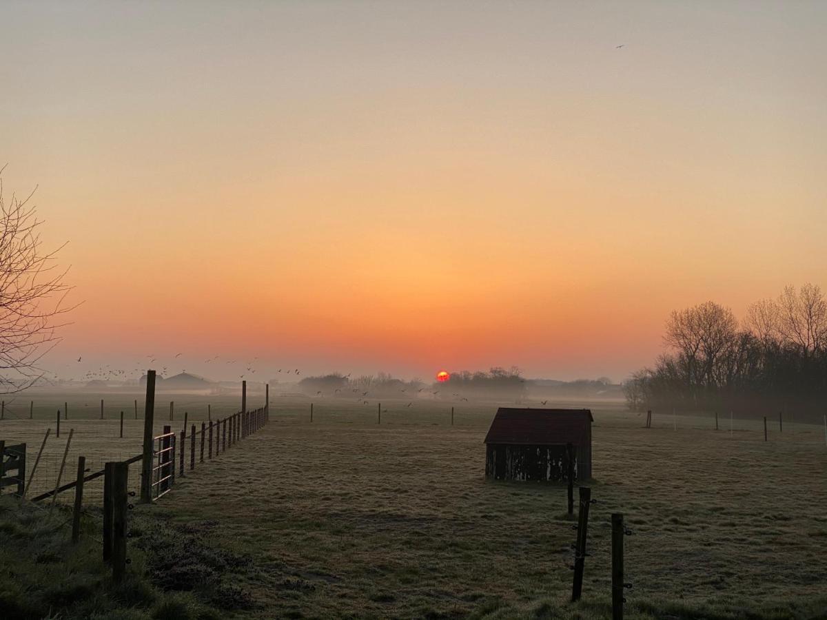 Bed and Breakfast Logies Boszicht Texel Де-Коог Екстер'єр фото